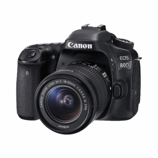 Vestibulum ante ipsum primis