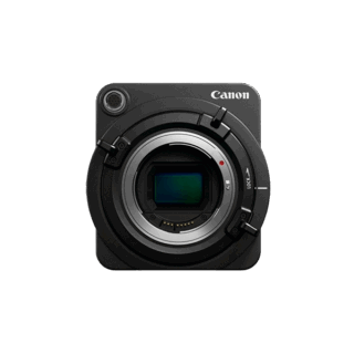 Aenean non pellentesque mauris